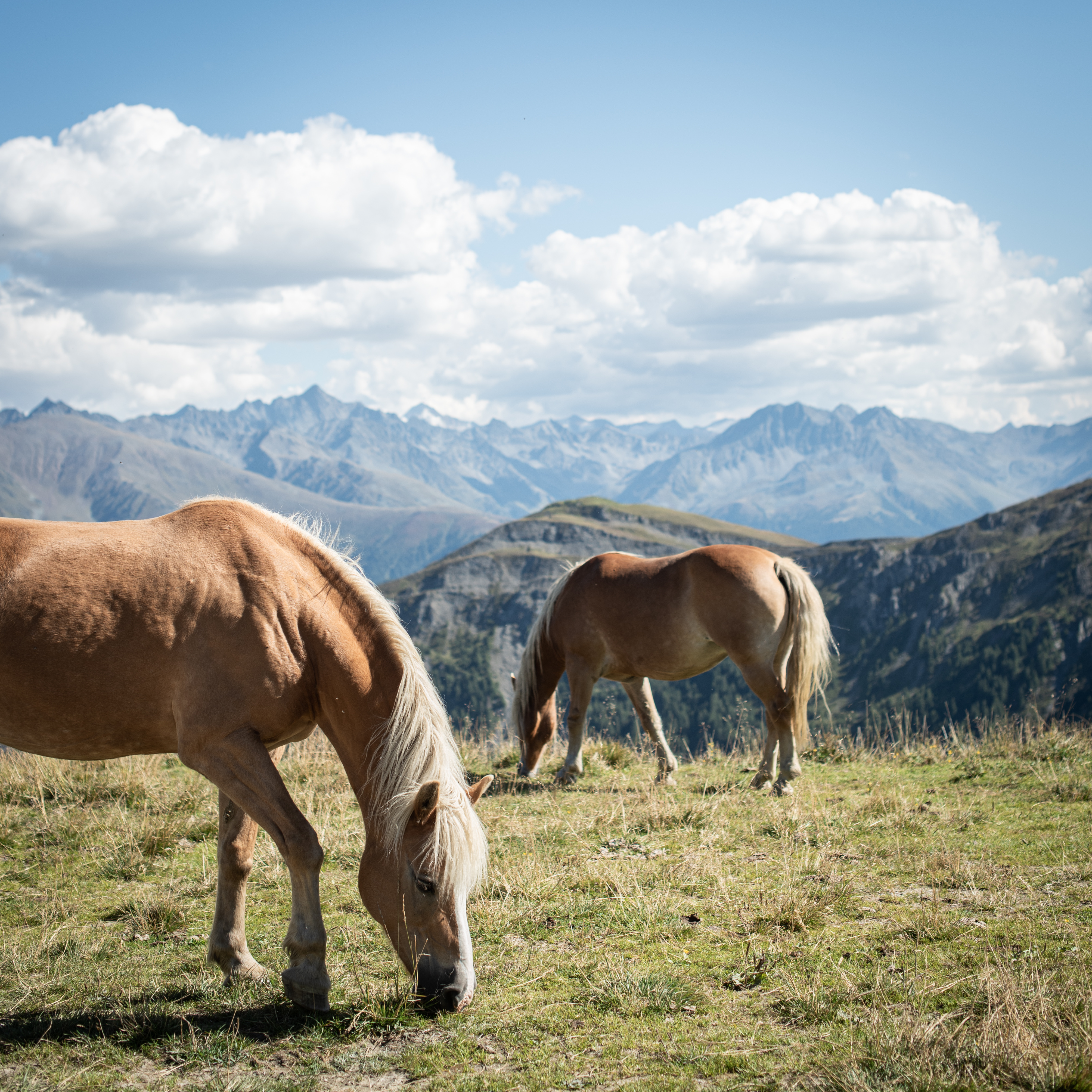 Fiss & Ladis — photograph by Matthias Verstraete
